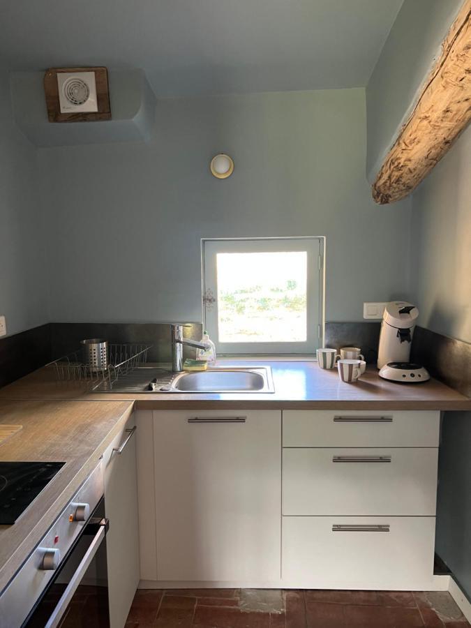 Charmant Appartement Independant Au Sein D'Un Mas Provencal オープス エクステリア 写真