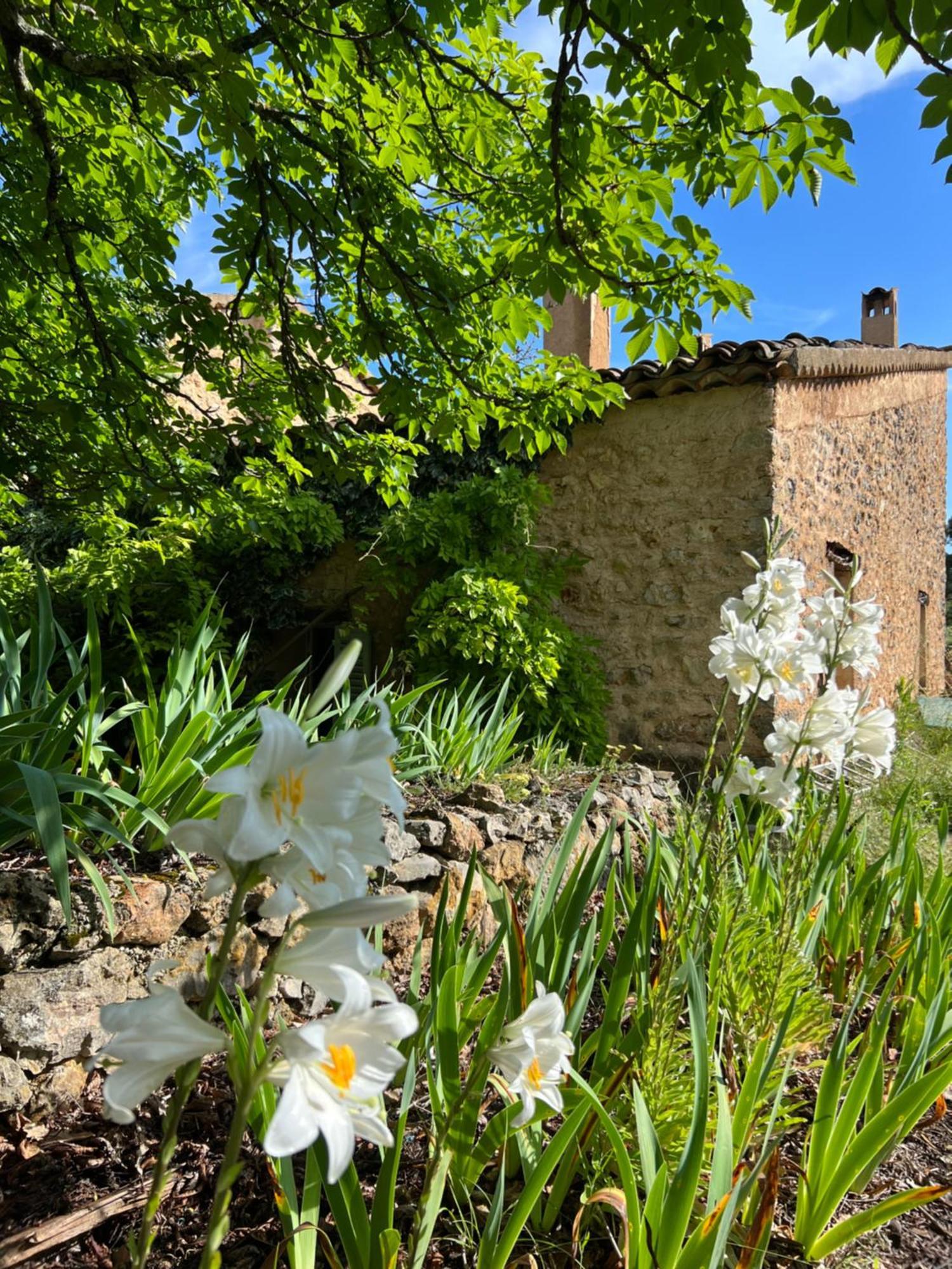 Charmant Appartement Independant Au Sein D'Un Mas Provencal オープス エクステリア 写真